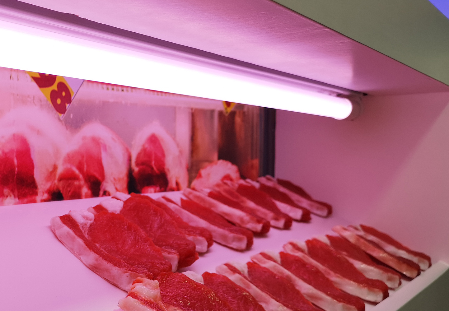 Vous cherchez une Lampe LED ? Tube Led professionnel Meat light haut  rendement (Rose-rouge soft) 150cm